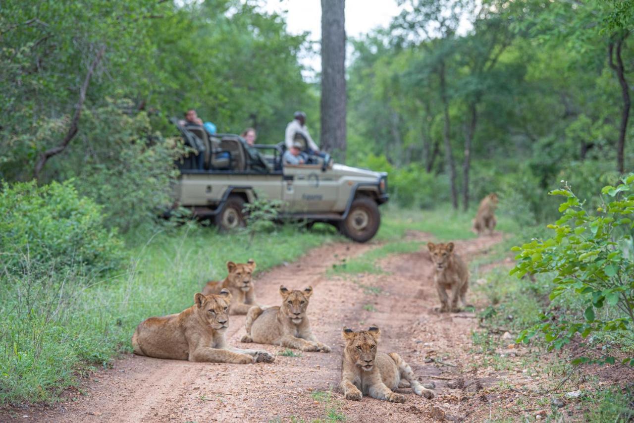 فيلا Kapama Karula Kapama Game Reserve المظهر الخارجي الصورة
