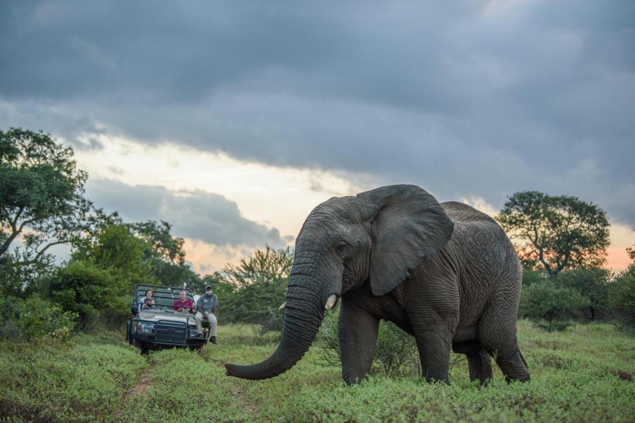 فيلا Kapama Karula Kapama Game Reserve المظهر الخارجي الصورة