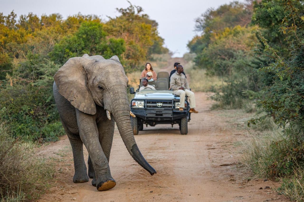 فيلا Kapama Karula Kapama Game Reserve المظهر الخارجي الصورة